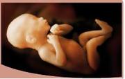 Expert Opinions/Answers of All 3D 4D Baby Scans Queries & FAQs 